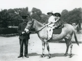 To unge jenter på et esel, London Zoo, august 1922